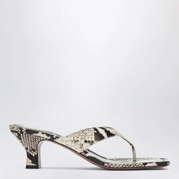 Paris Texas - Python-print thong slides