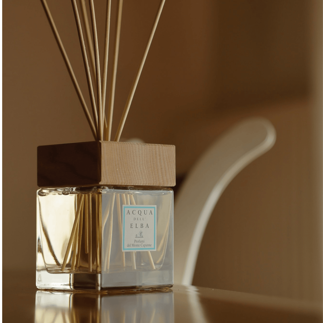 Acqua Dell'Elba Home Diffuser Acqua Dell'Elba Profumi Del Monte Capanne Fragrance Diffuser 16.9 fl.oz 500ml With Sticks Home Fragrance: Acqua Dell'Elba Profumi Del Monte Capanne Fragrance Diffuser 16.9 fl.oz, 500ml With Sticks Brand