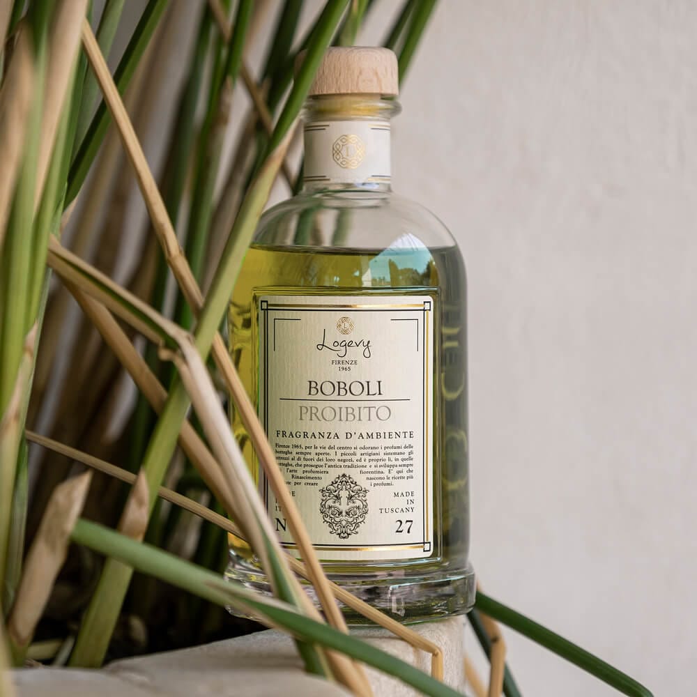 Home Diffuser Logevy Spicy Citrus Fruits Home Fragrance Brand