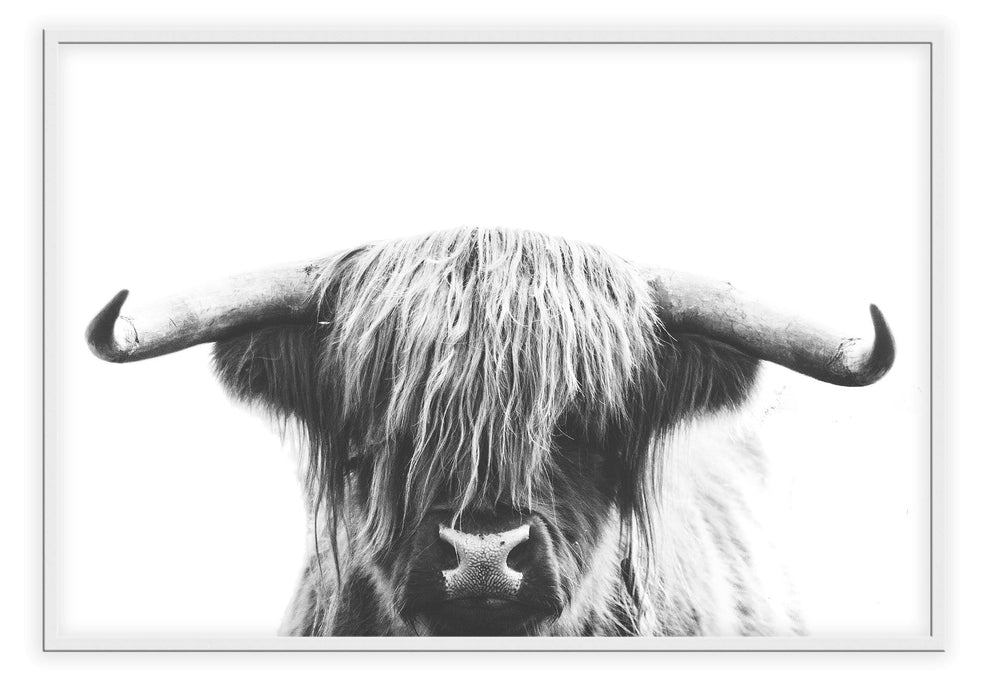 Canvas Print Small		50x70cm / White Highlander Highlander Wall Art : Ready to hang framed artwork. Brand