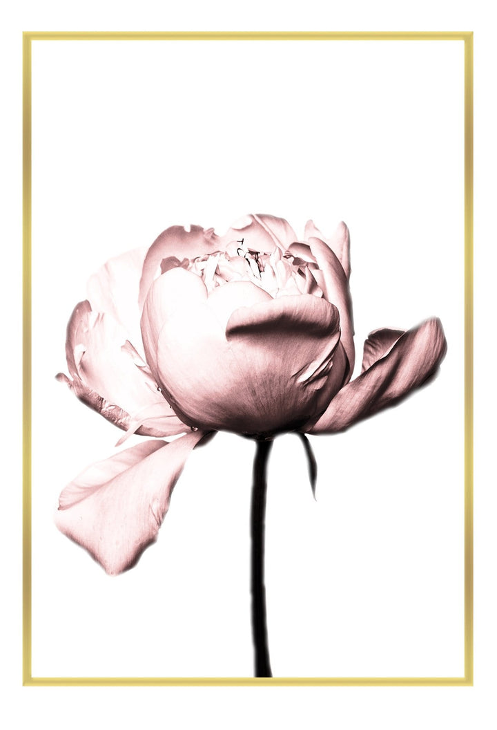 Canvas Print Small		50x70cm / Gold Vintage rose Vintage rose framed print Brand